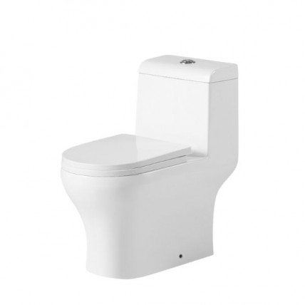 SORENTO ONE PIECE WC WASH DOWN FLUSHING SYSTEM 250MM - SRTWC287A