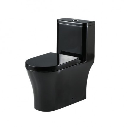SORENTO SRTWC8318-RL-BL 250MM ONE PIECE WASHDOWN CW RIMLESS DUAL FLUSHING VALVE