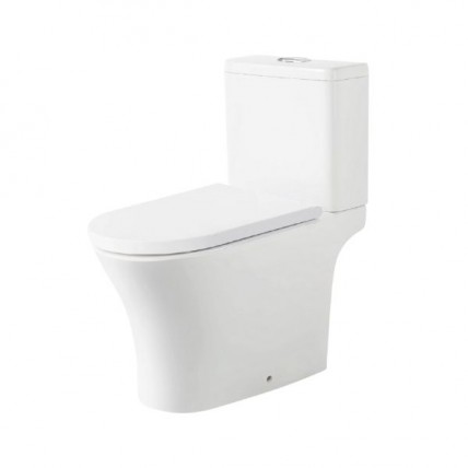SORENTO SRTWC8608-RL 250MM WASHDOWN CW RIMLESS DUAL FLUSHING VALVE