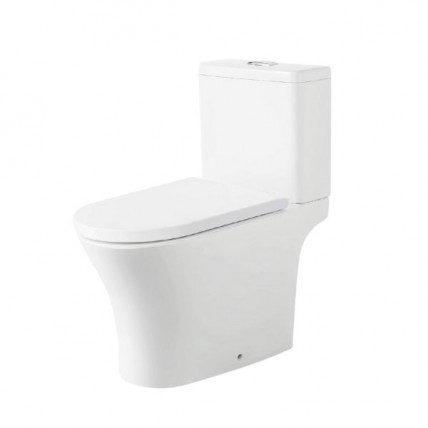 SORENTO SRTWC8608-RL 200MM WASHDOWN CW RIMLESS DUAL FLUSHING VALVE