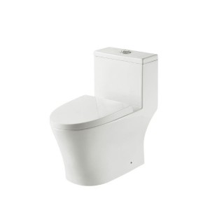 SORENTO ONE PIECE WC W/DOWN WITH RIMLESS 250MM - SRTWC8317-RL