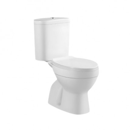 SANIWARE WASHDOWN C/W RIMLESS SOFT CLOSING SEAT COVER 250(MM) - WC-2110A