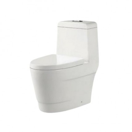 SANIWARE ONE-PIECE C/W SOFT CLOSING SEAT COVER 300(MM) - WC-2062