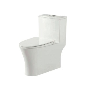 SANIWARE ONE PIECE S-TRAP + 6/3L FLUSH VALVE 8