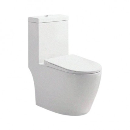 SANIWARE WC-2500-S250MM WASHDOWM WITH RIMLESS ONE-PIECE CLOSET