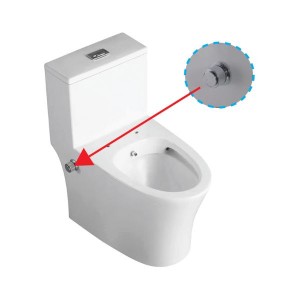 SANIWARE WC-2100BC ONE PIECE CLOSET CW BIDET  (S-TRAP 250MM)