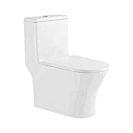 SANIWARE WC-2300-S250 ONE PIECE WASHDOWN CLOSET - 10
