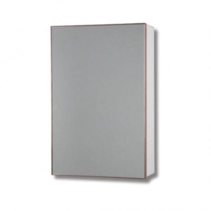 BLN MIRROR CABINET ALUM WH c/w SS SWING DOOR RG 40 x 60 BLN-6601RGW