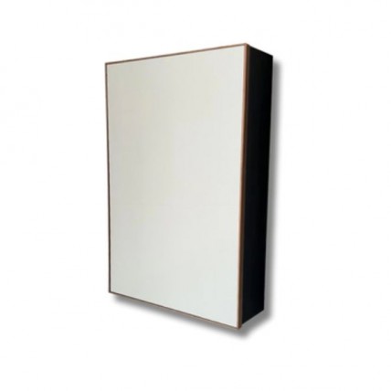 BLN MIRROR CABINET ALUM FB c/w SS SWING DOOR RG 40 x 60 BLN-6601RGB