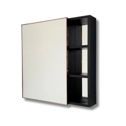 BLN MIRROR CABINET ALUM FB c/w SS SINGLE DOOR RG 60 x 60 BLN-6602RGB