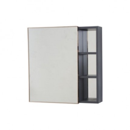 BLN MIRROR CABINET ALUM MG c/w SS SINGLE DOOR RG 60 x 60 BLN-6602RGM