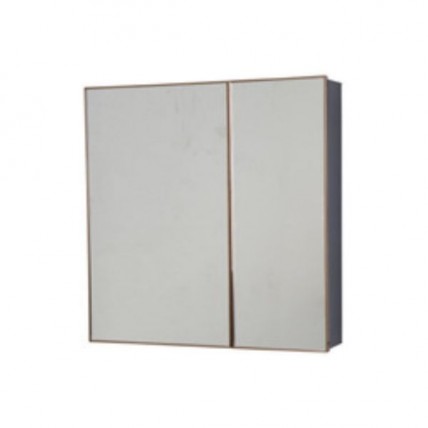 BLN MIRROR CABINET ALUM MG c/w SS DOUBLE DOOR RG 60 x 60 BLN-6603RGM