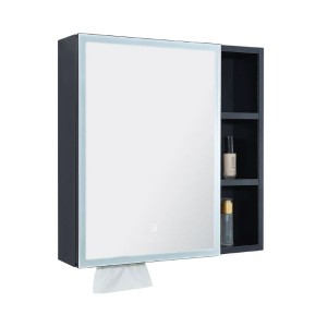 BLN MIRROR CABINET LED C/W TISSUE BOX  60X60 (SINGLE DOOR) SQUARE FB BML_6803FB_SS
