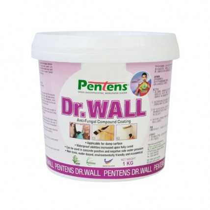 PENTENS DR WALL - 1 KG