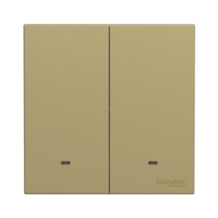 SCHNEIDER AVATARON C W.GOLD 2 GANG 1 WAY SWITCH-E8732L1F_WG_G11